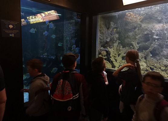Wycieczka kaszubska do Oceanarium – kl.II i III grafika