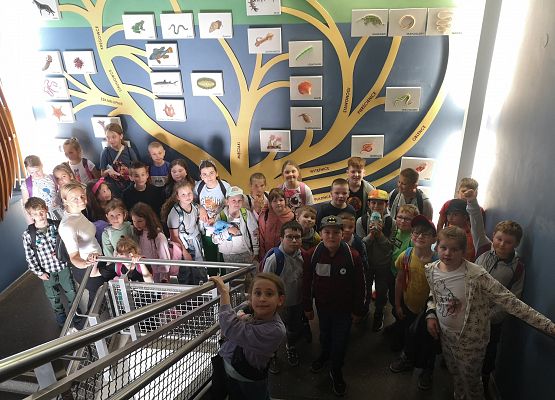 Wycieczka kaszubska do Oceanarium – kl.II i III grafika