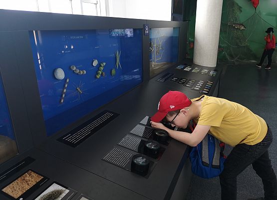 Wycieczka kaszubska do Oceanarium – kl.II i III grafika