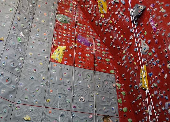 Wycieczka klasy 7 b grafika