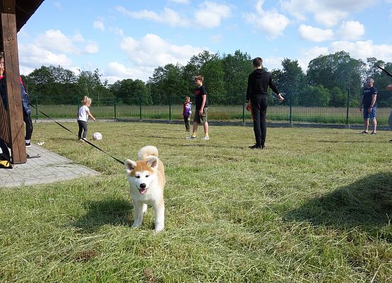 Rajd rowerowy klasy 7 b grafika