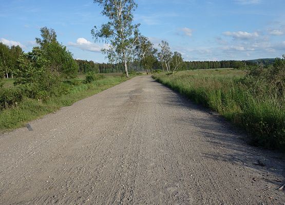 Rajd rowerowy klasy 7 b grafika