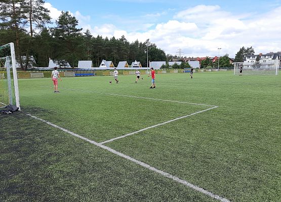 Akcja – ostatnia integracja grafika