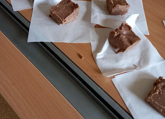 KOŁO HISTORYCZNE W ROKU SZKOLNYM 2021/2022            grafika