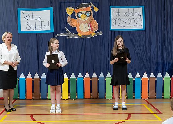 Ślubuję uroczyście ! grafika