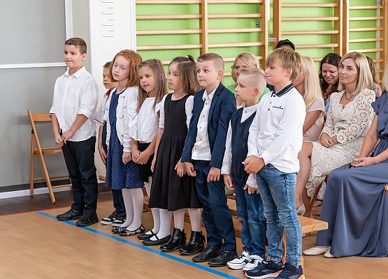 Ślubuję uroczyście ! grafika