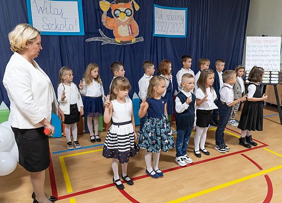 Ślubuję uroczyście ! grafika