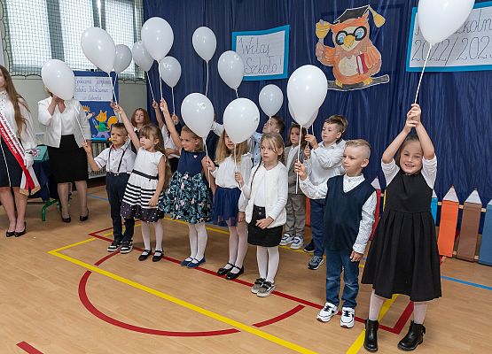 Ślubuję uroczyście ! grafika