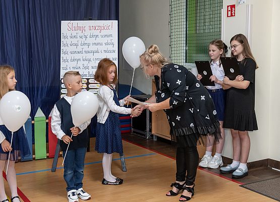 Ślubuję uroczyście ! grafika