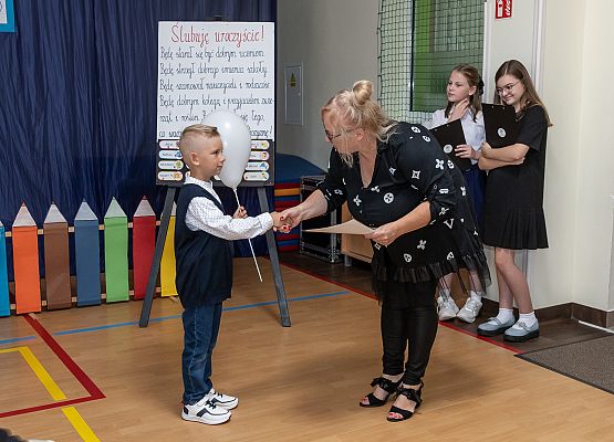 Ślubuję uroczyście ! grafika