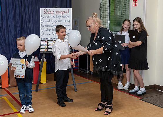 Ślubuję uroczyście ! grafika