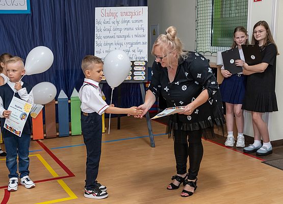 Ślubuję uroczyście ! grafika