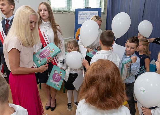 Ślubuję uroczyście ! grafika