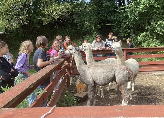 Wycieczka do Drzewiny klas 6 - fotorelacja grafika