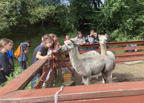 Wycieczka do Drzewiny klas 6 - fotorelacja grafika