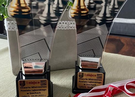 Mistrzostwa Powiatu Lęborskiego w Szachach grafika