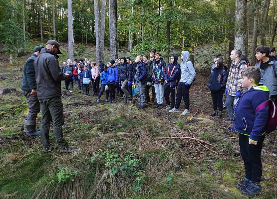 Wycieczka do lasu - Sprzątanie Świata grafika