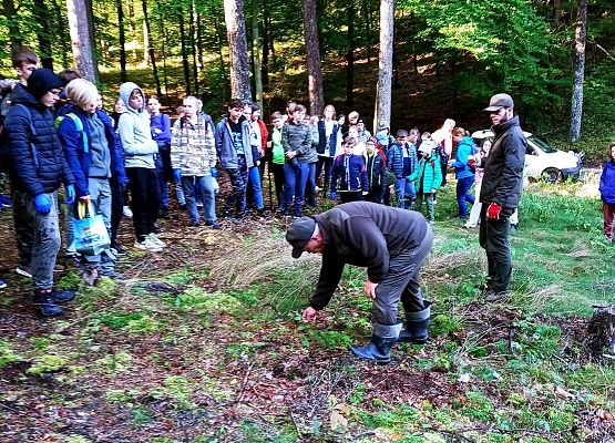 Wycieczka do lasu - Sprzątanie Świata grafika
