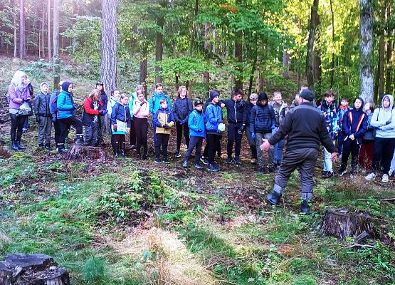 Wycieczka do lasu - Sprzątanie Świata grafika