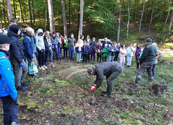 Wycieczka do lasu - Sprzątanie Świata grafika