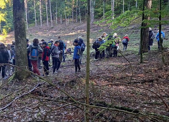 Wycieczka do lasu - Sprzątanie Świata grafika