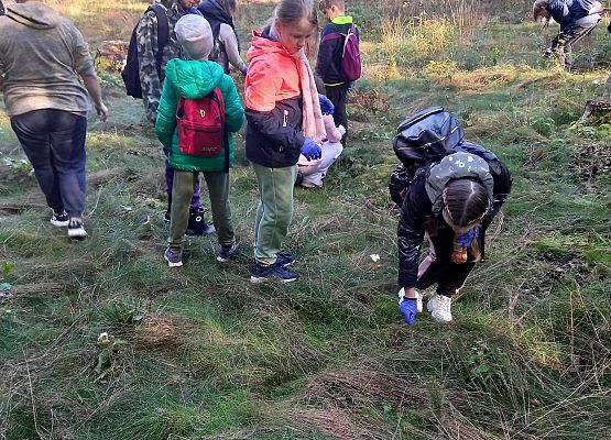 Wycieczka do lasu - Sprzątanie Świata grafika