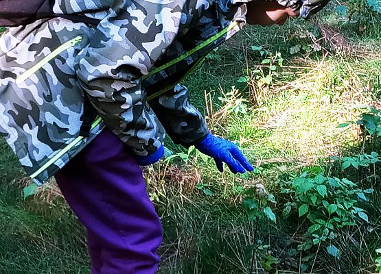 Wycieczka do lasu - Sprzątanie Świata grafika