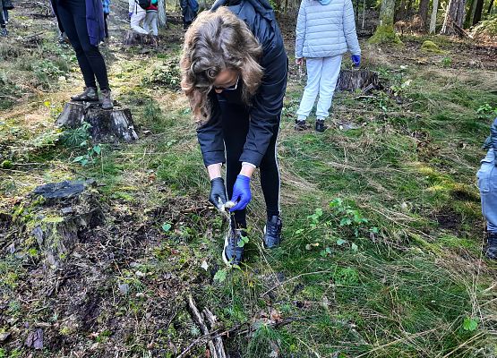 Wycieczka do lasu - Sprzątanie Świata grafika