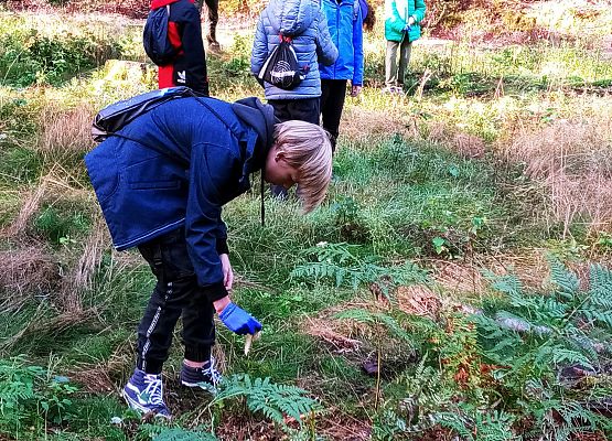 Wycieczka do lasu - Sprzątanie Świata grafika