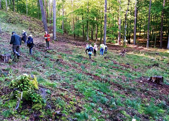 Wycieczka do lasu - Sprzątanie Świata grafika
