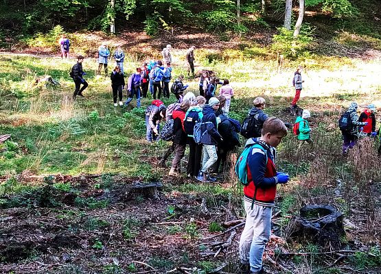 Wycieczka do lasu - Sprzątanie Świata grafika