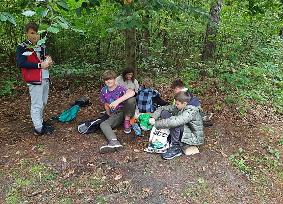 Wycieczka do lasu - Sprzątanie Świata grafika