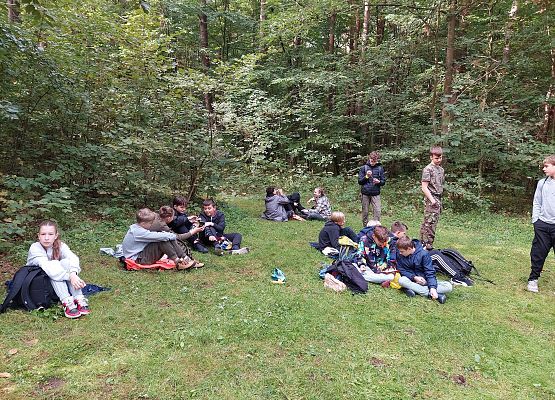 Wycieczka do lasu - Sprzątanie Świata grafika