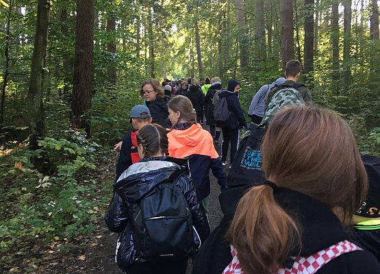 Wycieczka do lasu - Sprzątanie Świata grafika