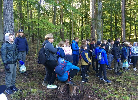 Wycieczka do lasu - Sprzątanie Świata grafika