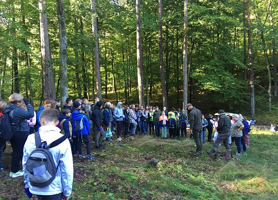 Wycieczka do lasu - Sprzątanie Świata grafika