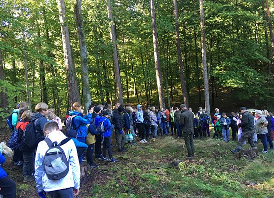 Wycieczka do lasu - Sprzątanie Świata grafika