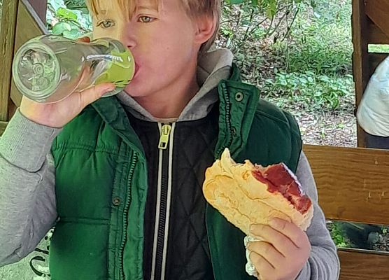 Wycieczka do lasu w ramach akcji "Sprzątanie Świata" (klasy 1-3) grafika