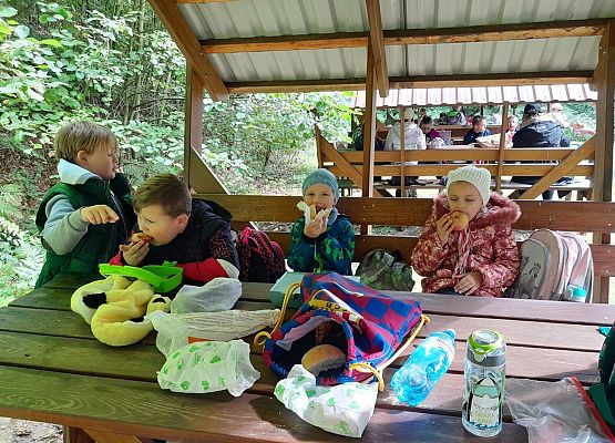 Wycieczka do lasu w ramach akcji "Sprzątanie Świata" (klasy 1-3) grafika