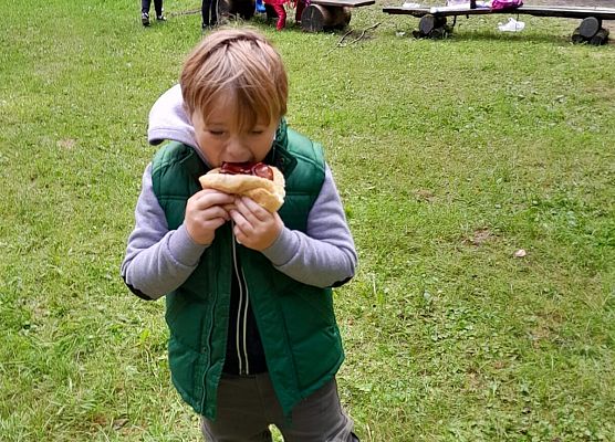 Wycieczka do lasu w ramach akcji "Sprzątanie Świata" (klasy 1-3) grafika