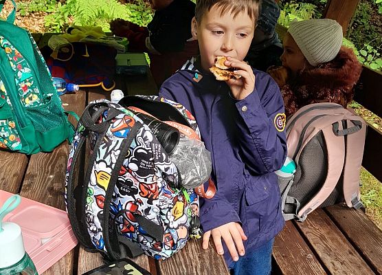 Wycieczka do lasu w ramach akcji "Sprzątanie Świata" (klasy 1-3) grafika