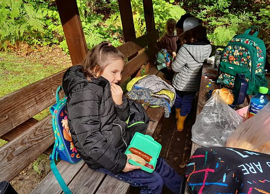 Wycieczka do lasu w ramach akcji "Sprzątanie Świata" (klasy 1-3) grafika