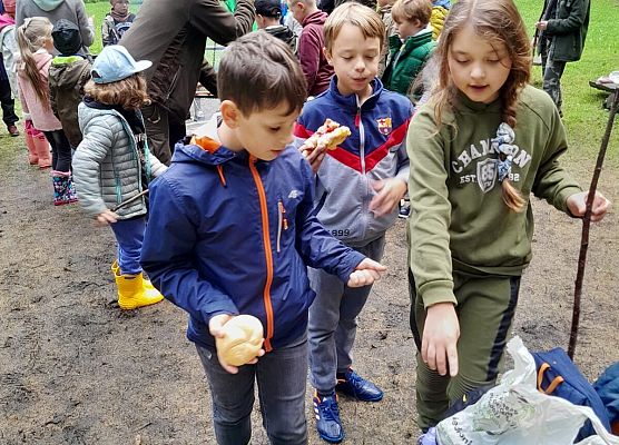 Wycieczka do lasu w ramach akcji "Sprzątanie Świata" (klasy 1-3) grafika