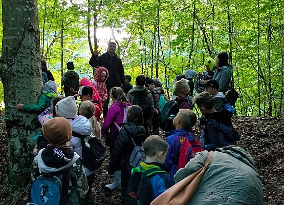 Wycieczka do lasu w ramach akcji "Sprzątanie Świata" (klasy 1-3) grafika