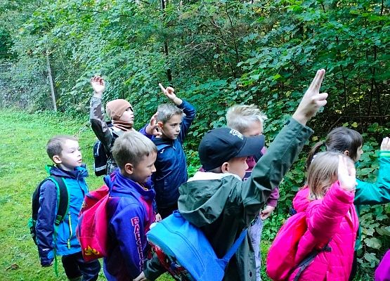 Wycieczka do lasu w ramach akcji "Sprzątanie Świata" (klasy 1-3) grafika