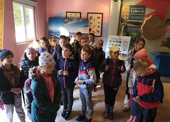 Wycieczka do lasu w ramach akcji "Sprzątanie Świata" (klasy 1-3) grafika