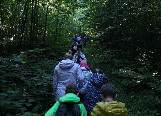 Wycieczka do lasu w ramach akcji "Sprzątanie Świata" (klasy 1-3) grafika