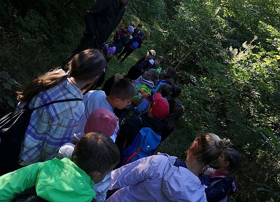 Wycieczka do lasu w ramach akcji "Sprzątanie Świata" (klasy 1-3) grafika