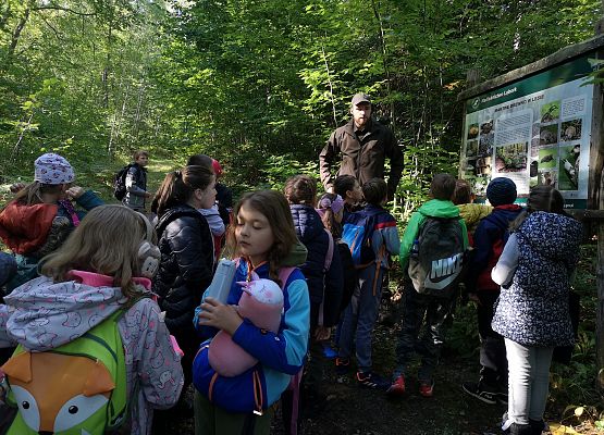 Wycieczka do lasu w ramach akcji "Sprzątanie Świata" (klasy 1-3) grafika