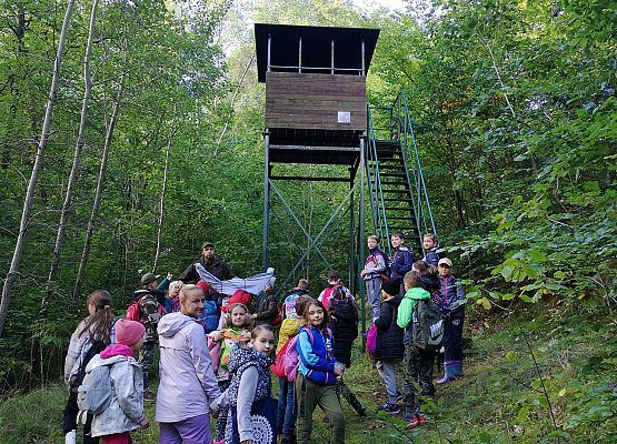 Wycieczka do lasu w ramach akcji "Sprzątanie Świata" (klasy 1-3) grafika
